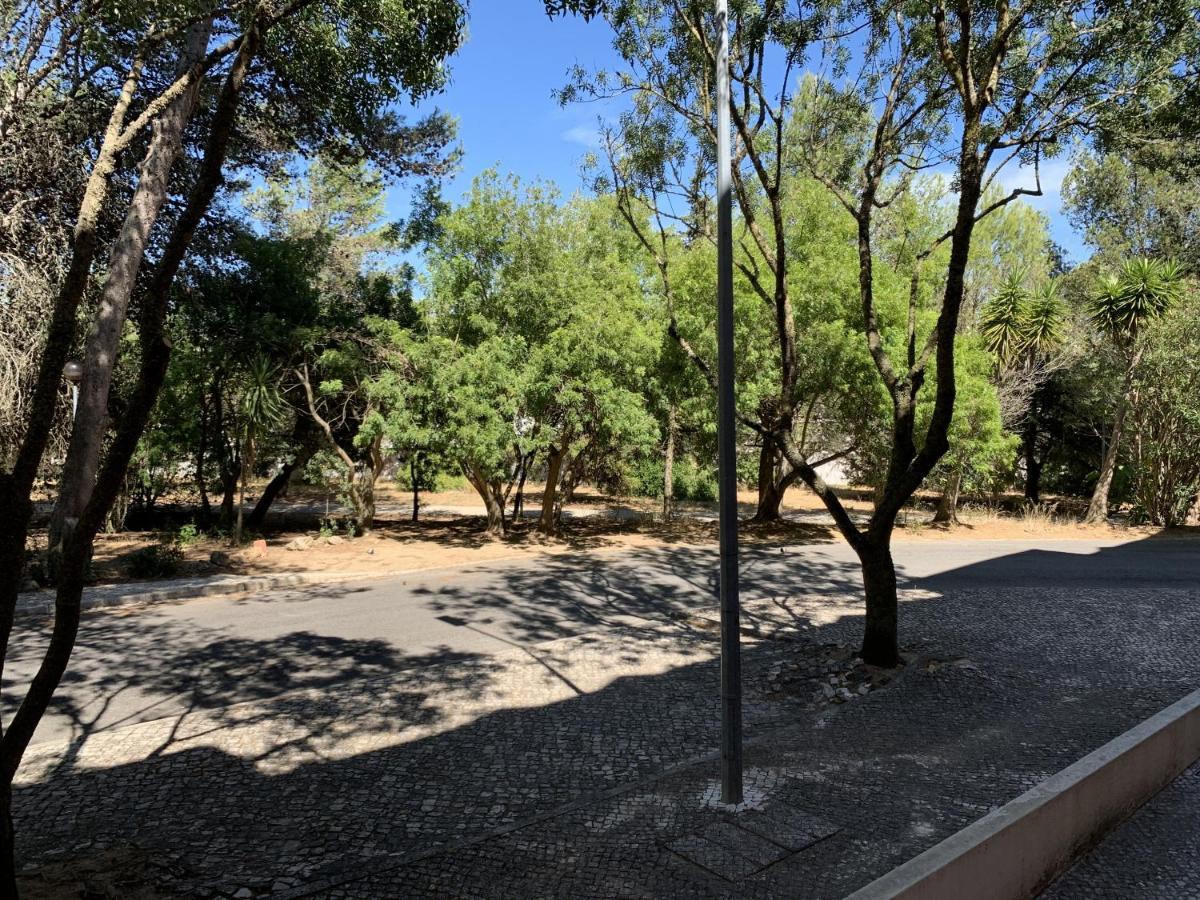 Posh In Costa Da Guia, Apartment Cascais